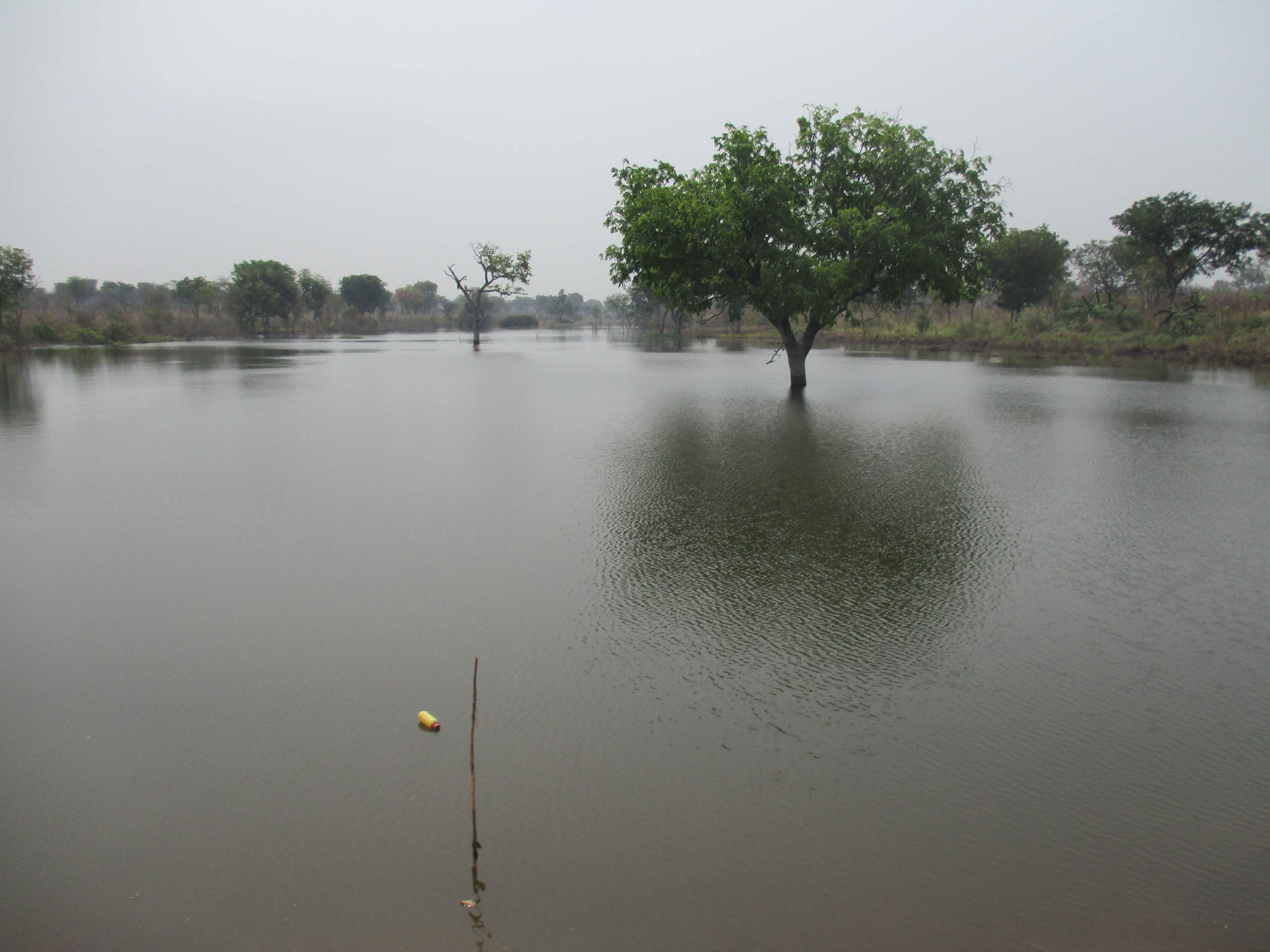 Northern Rural Growth Project, Ashanti and Brong Ahafo Regions
