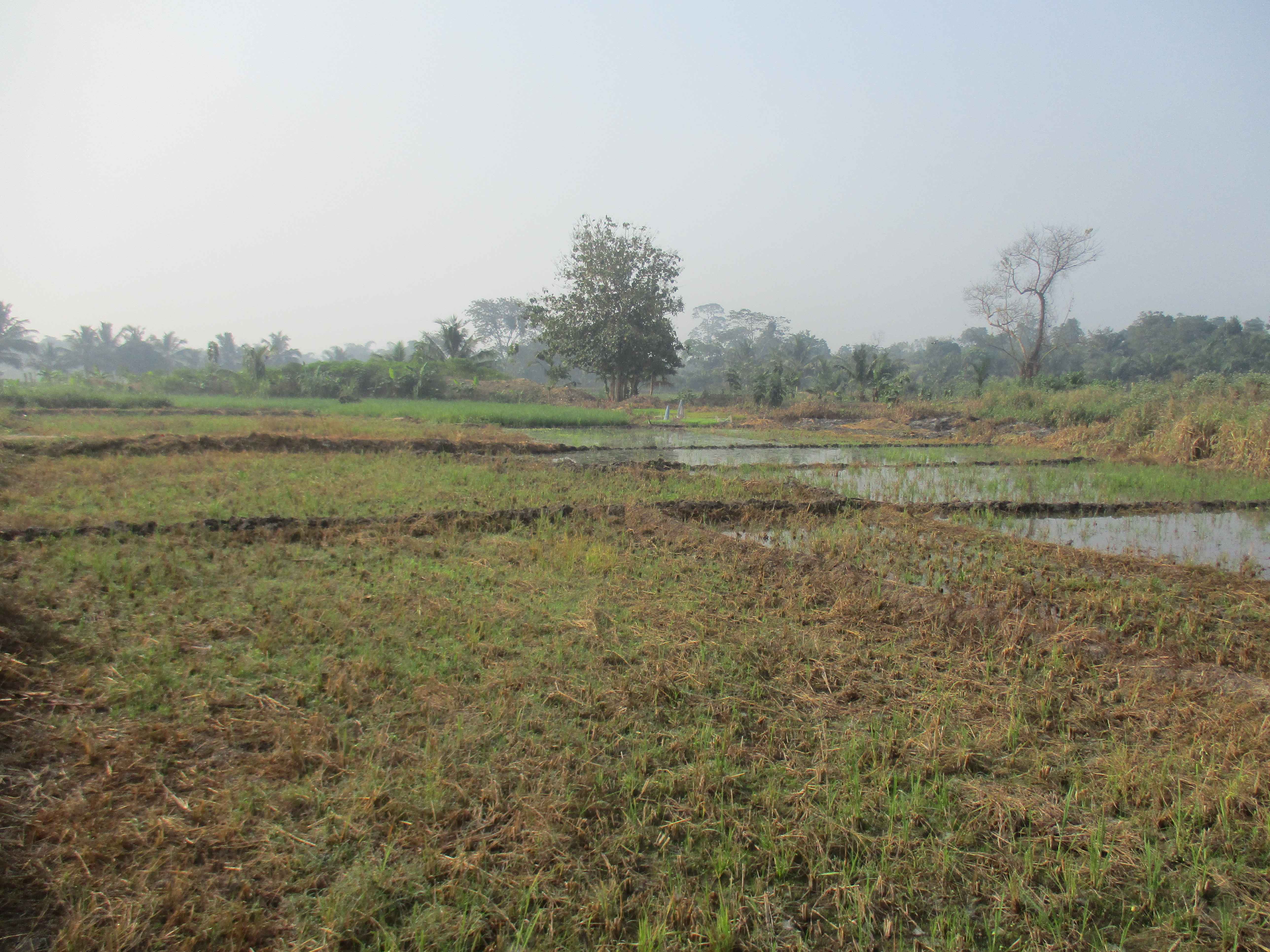 Northern Rural Growth Project, Ashanti and Brong Ahafo Regions