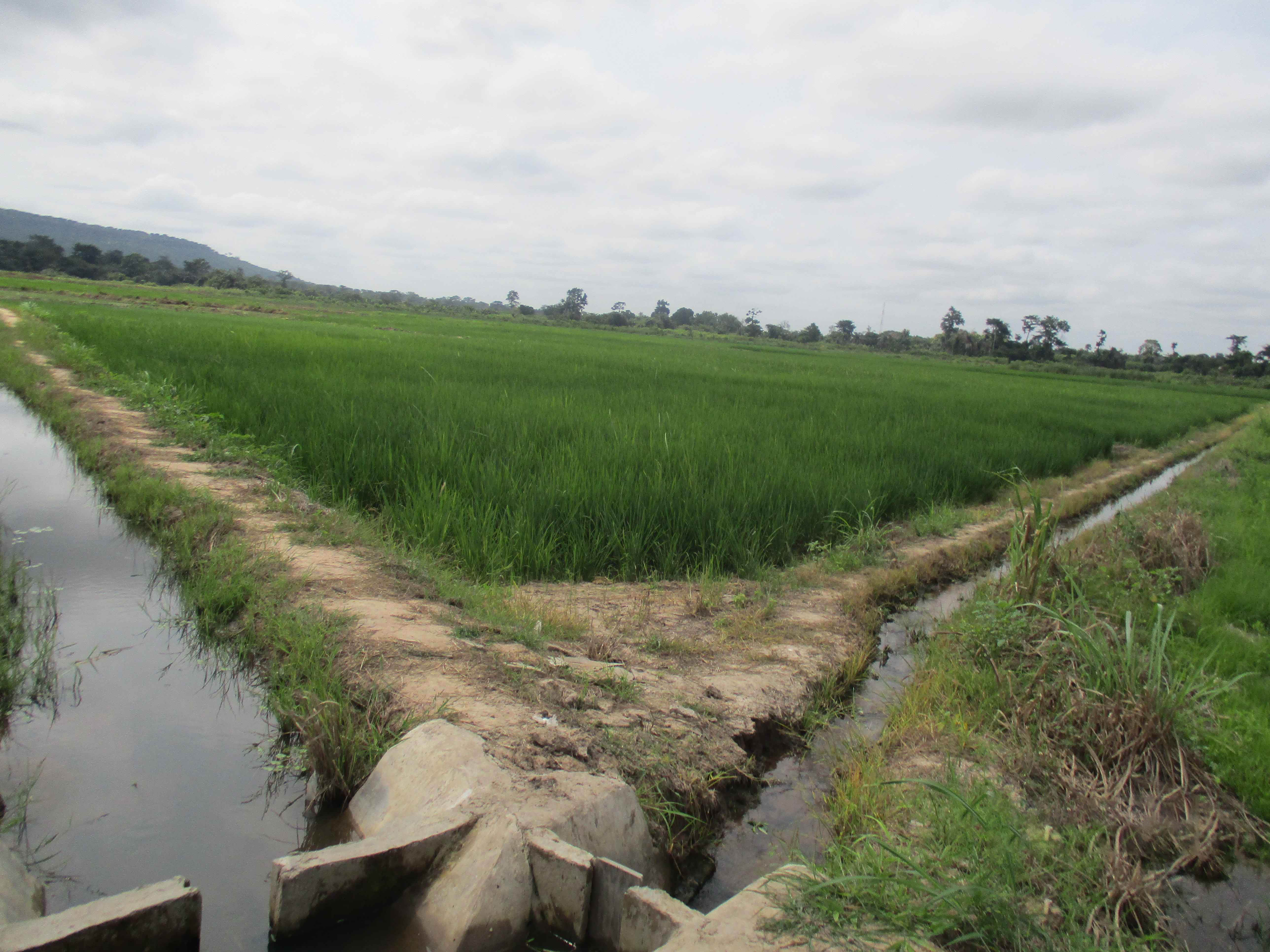 Northern Rural Growth Project, Ashanti and Brong Ahafo Regions