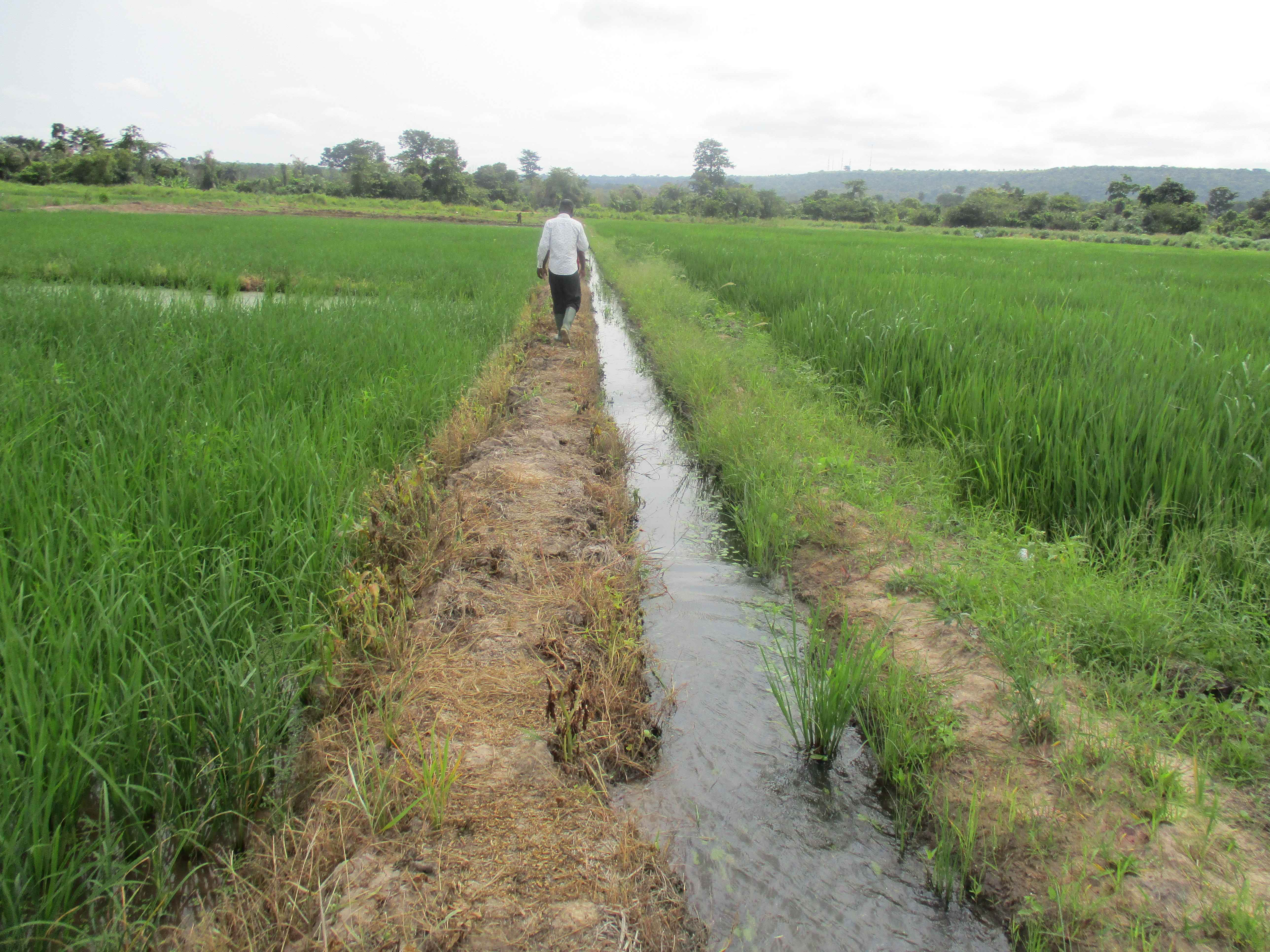 Northern Rural Growth Project, Ashanti and Brong Ahafo Regions