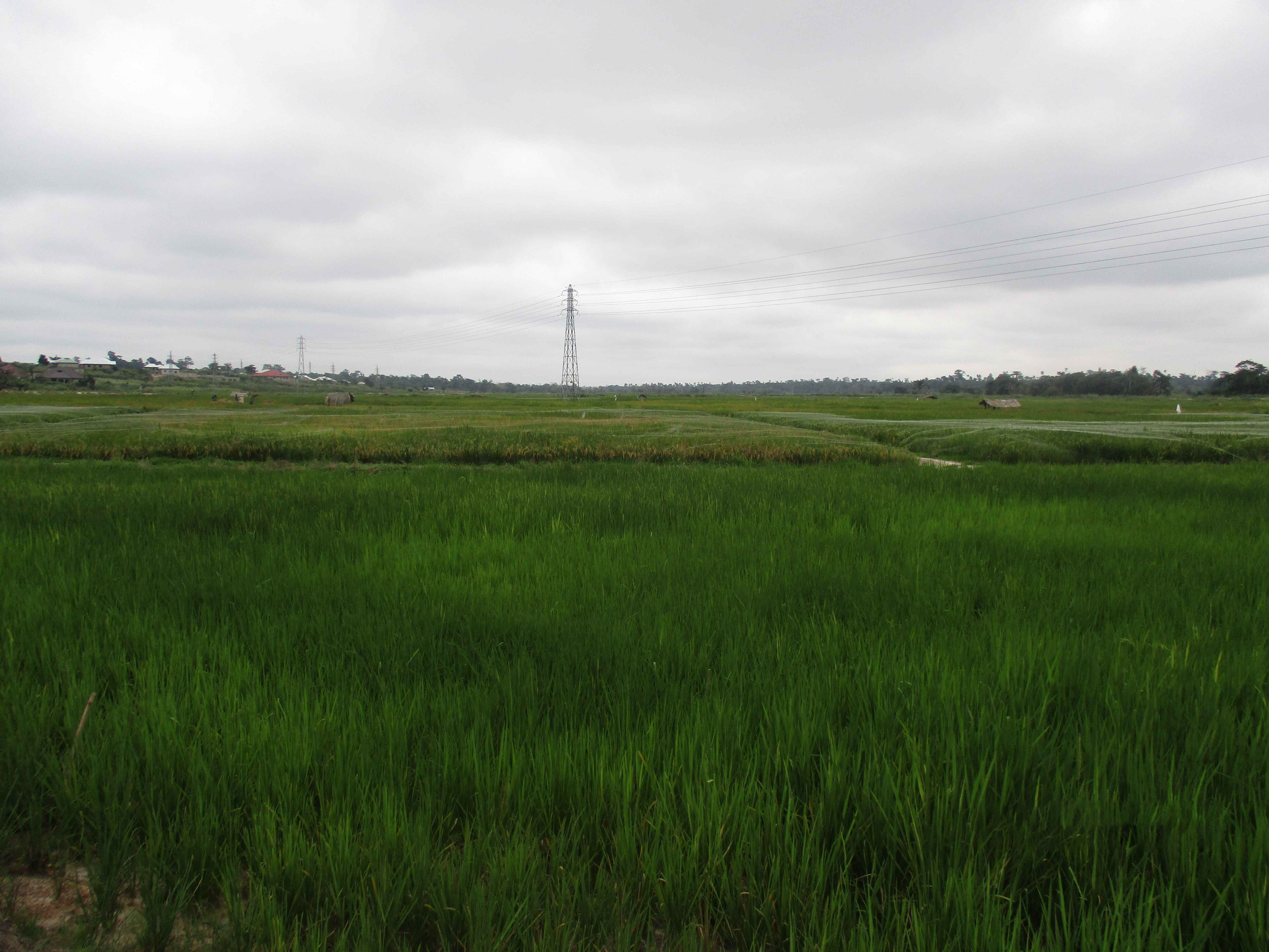 Northern Rural Growth Project, Ashanti and Brong Ahafo Regions