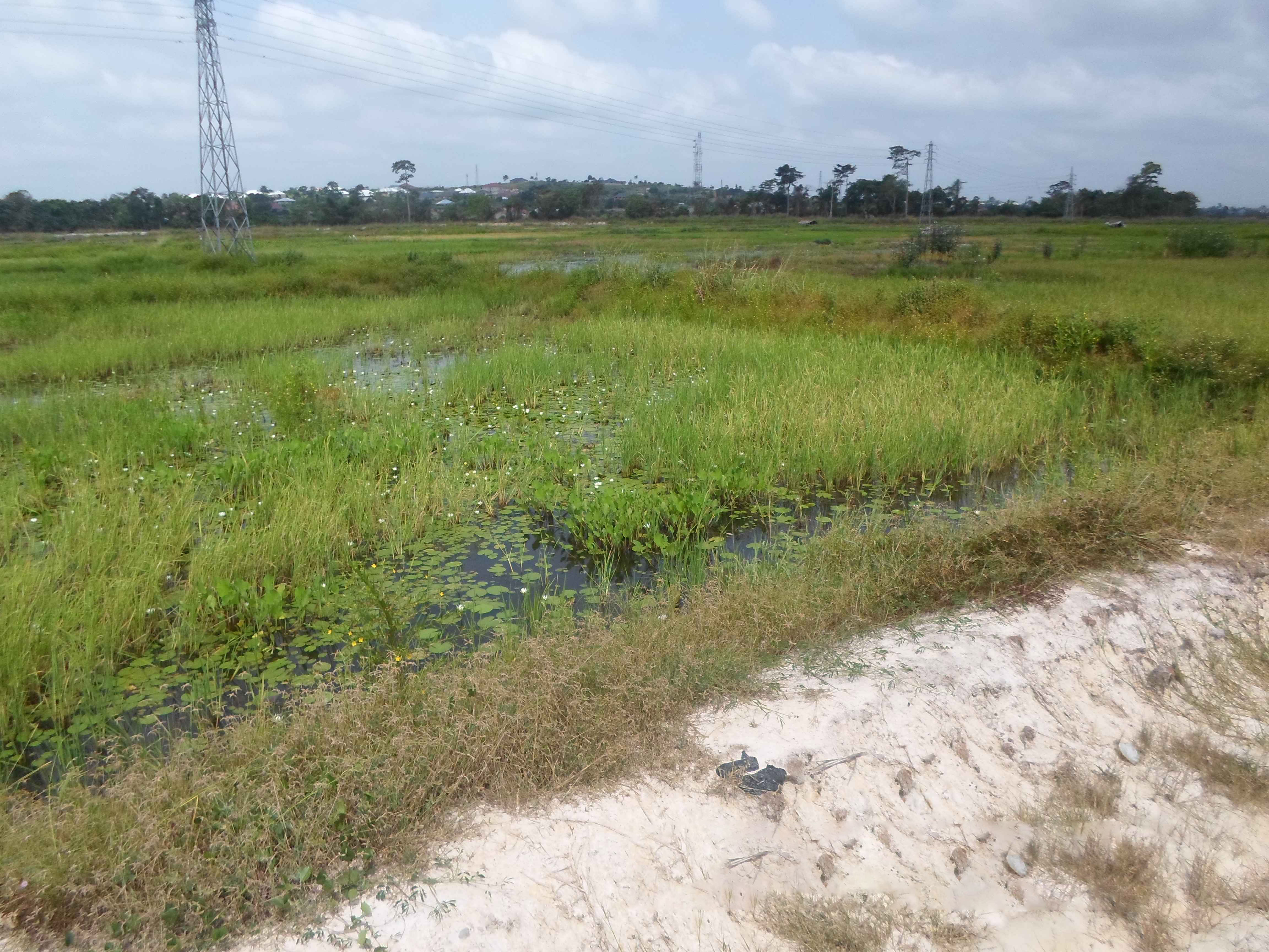 Northern Rural Growth Project, Ashanti and Brong Ahafo Regions