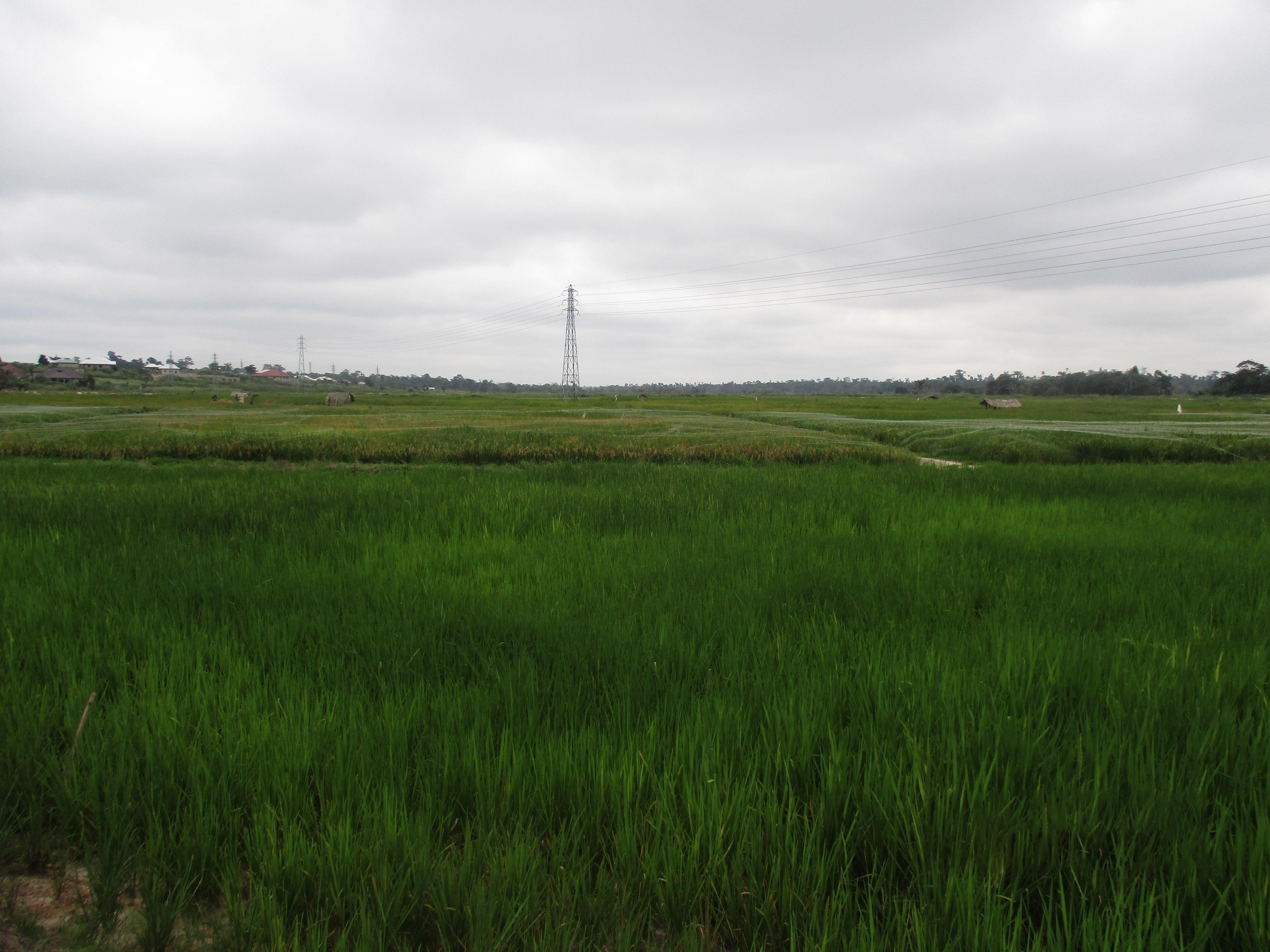 Northern Rural Growth Irrigation Project by the Best Engineering Consultant in Ghana